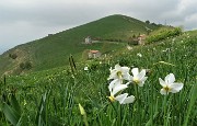 42 Sulle pendici della cima del Linzone il Santuario della Sacra Famiglia